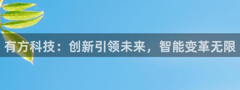 有方科技：创新引领未来，智能变革无限
