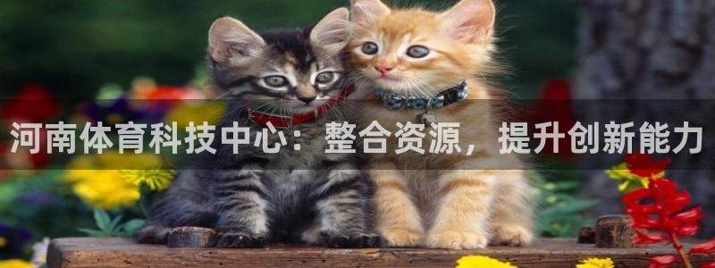 河南体育科技中心：整合资源，提升创新能力