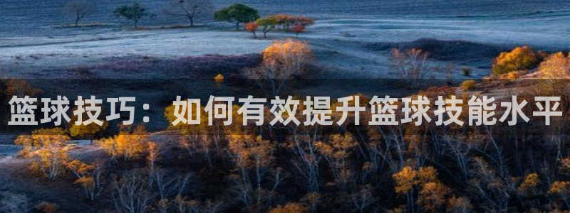 篮球技巧：如何有效提升篮球技能水平