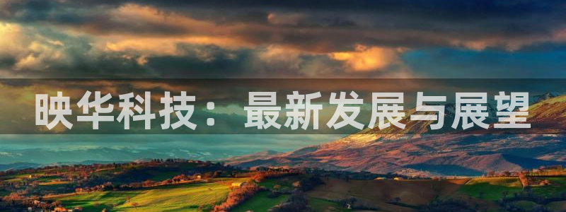 映华科技：最新发展与展望