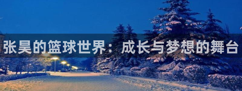 张昊的篮球世界：成长与梦想的舞台