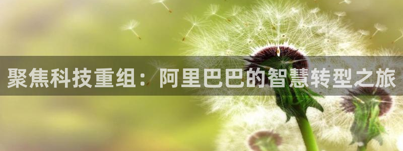 聚焦科技重组：阿里巴巴的智慧转型之旅