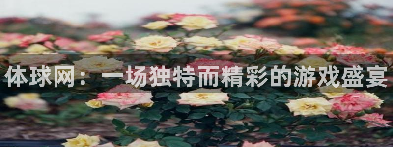 体球网：一场独特而精彩的游戏盛宴