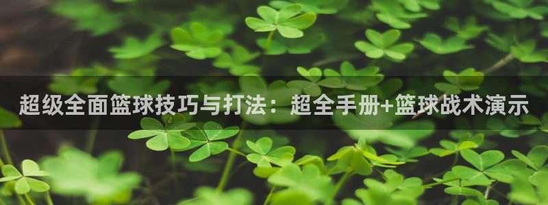 超级全面篮球技巧与打法：超全手册+篮球战术演示