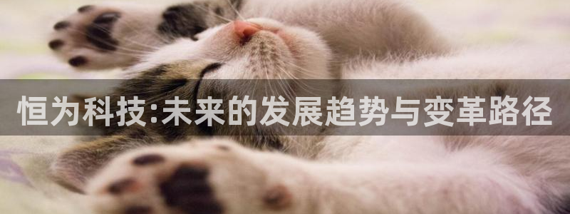 恒为科技:未来的发展趋势与变革路径