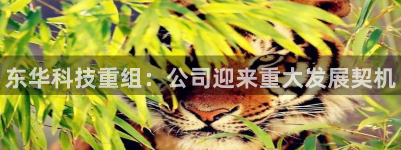 东华科技重组：公司迎来重大发展契机