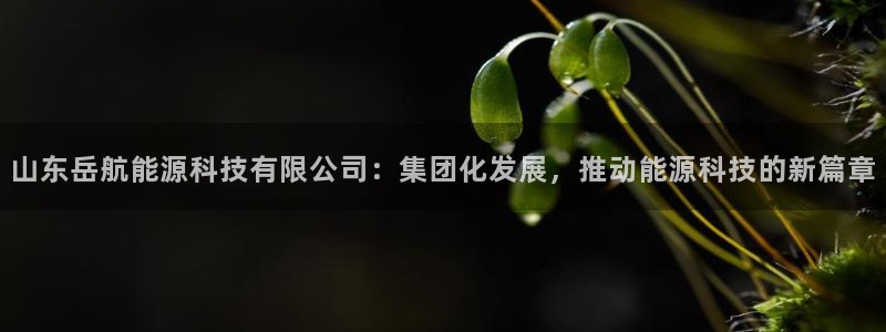 山东岳航能源科技有限公司：集团化发展，推动能源科技的新篇章