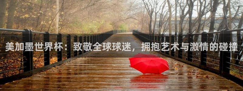 美加墨世界杯：致敬全球球迷，拥抱艺术与激情的碰撞