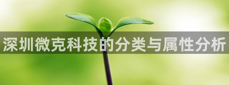 深圳微克科技的分类与属性分析