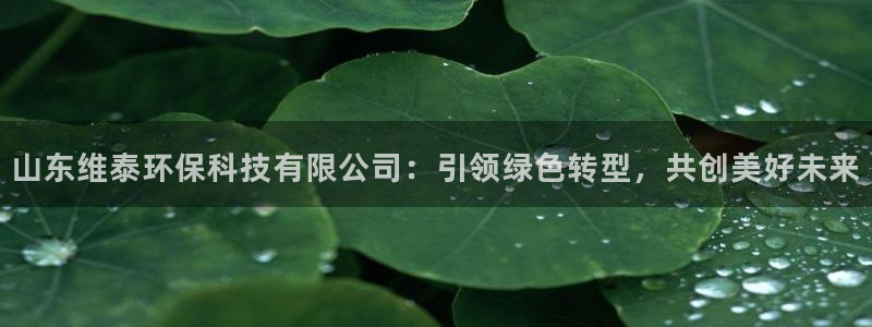 山东维泰环保科技有限公司：引领绿色转型，共创美好未来
