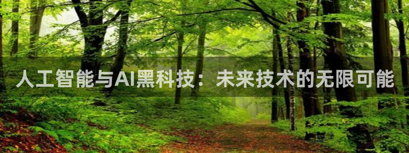 人工智能与AI黑科技：未来技术的无限可能