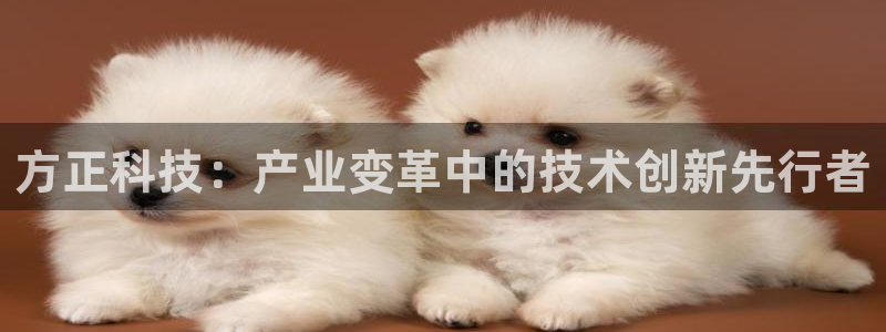 方正科技：产业变革中的技术创新先行者