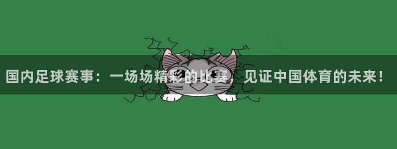 国内足球赛事：一场场精彩的比赛，见证中国体育的未来！