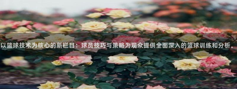 以篮球技术为核心的新栏目：球员技巧与策略为观众提供全面深入的篮球训练和分析。
