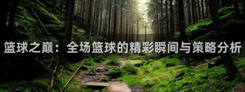 篮球之巅：全场篮球的精彩瞬间与策略分析