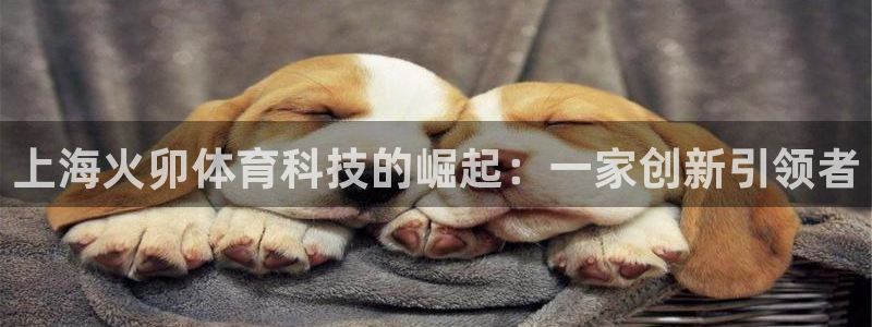 上海火卯体育科技的崛起：一家创新引领者